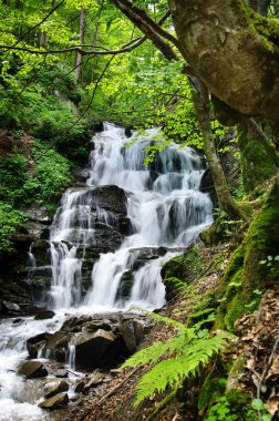 şelale yeşil ahşap
