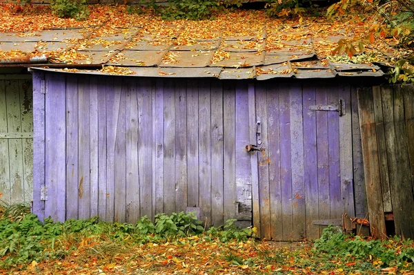 Старый сарай фиолетовый с опавшими листьями на крыше — стоковое фото