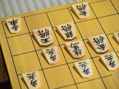 Shogi go oyunu