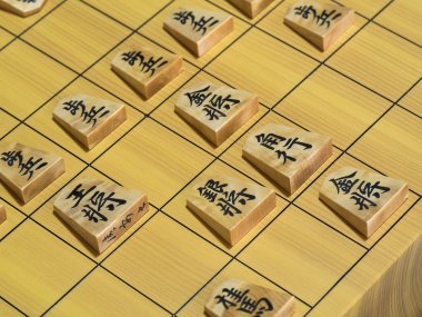 Shogi go oyunu