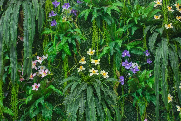 Yeşil Fern duvar çiçek arka plan ile
