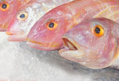 Buz üzerinde kırmızı Tilapia balıklar donmuş