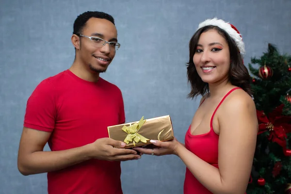 Süslü bir Noel ağacının yanında gülümseyen ve Noel hediyelerini veren ırklar arası bir çift. Fotokopi alanı olan genç bir adam ve genç bir kadının stüdyo portresi. Tatil sezonu ve Noel hediyeleri için ideal..