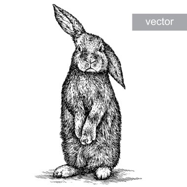 stock vector
