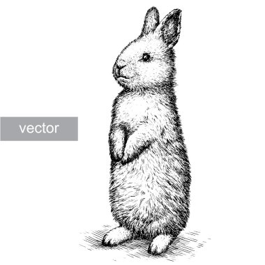 stock vector