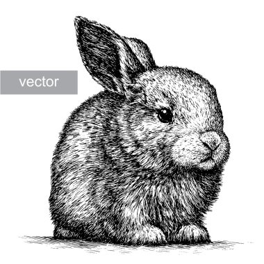 stock vector