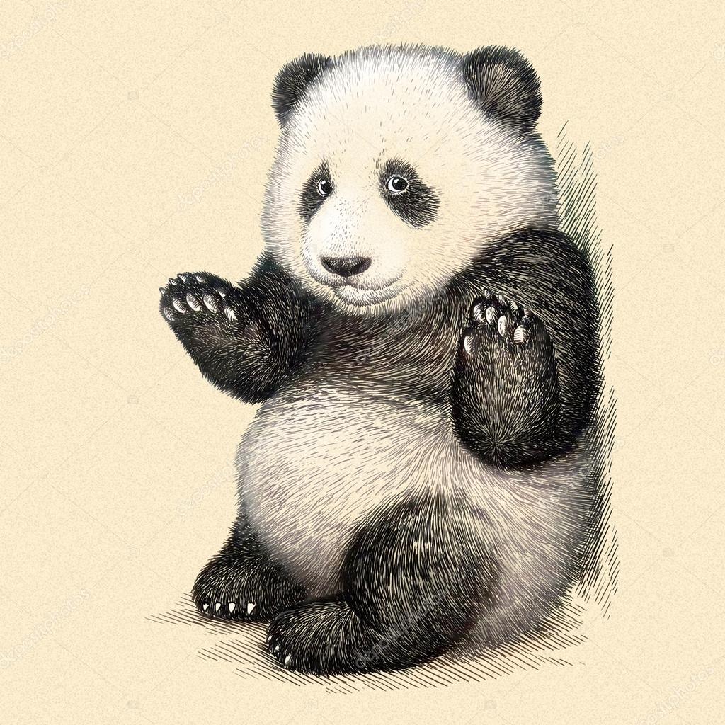 Pandabär Zeichnen : Pandabär Aquarell mit Salz-Effekt - Schritt für Schritt