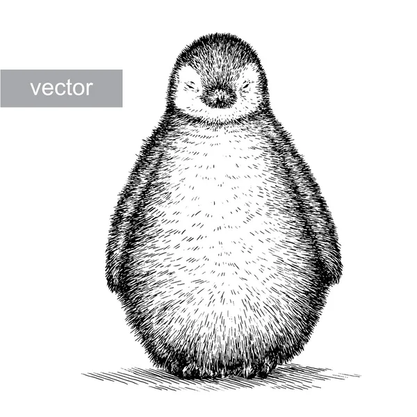 Vektorgrafiken Baby Tier Pinguin Kontur Vektorbilder Baby Tier Pinguin Kontur Depositphotos