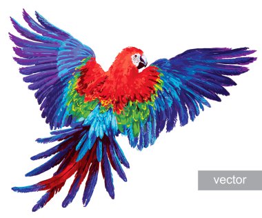 Colorful realistic parrots macaw