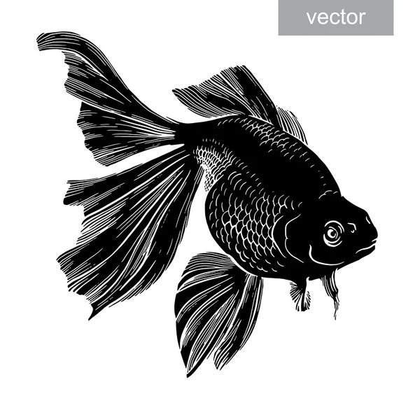 Featured image of post Peces Dibujados Y Coloreados