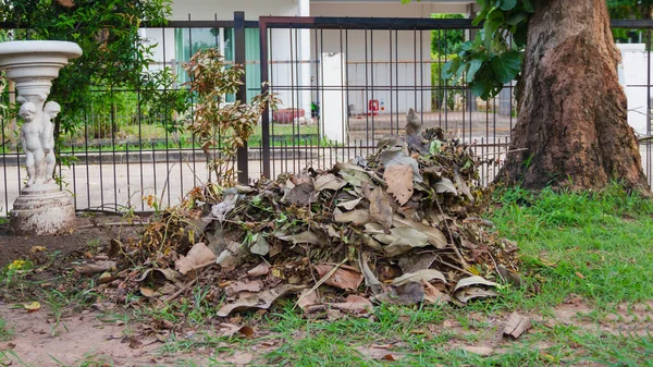 Folha Árvore Seca Foi Coletada Após Limpeza Casa Jardim Durante — Fotografia de Stock