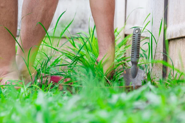 Seorang Pria Menanam Rumput Halaman Taman Rumah Dengan Rumput Kabur Stok Gambar Bebas Royalti