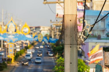 Hayvan koruma ağı şehirde yüksek voltajlı elektrik teline dokunuyor