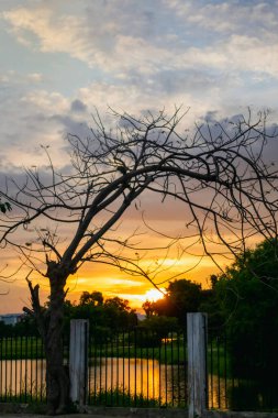 Siluet tarzı ağaçlar, çitlerle çevrili. Golf kortunun önü ve akşam saatlerinde güzel bir günbatımı arka planı.