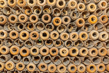 Bambu olun şemsiye için