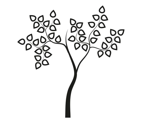 Σιλουέτα του δέντρου εμφανίζονται σε λευκό φόντο — Φωτογραφία Αρχείου