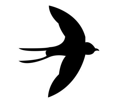 Beyaz bir arka plan üzerinde resimli yutmak