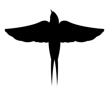 Beyaz bir arka plan üzerinde resimli yutmak