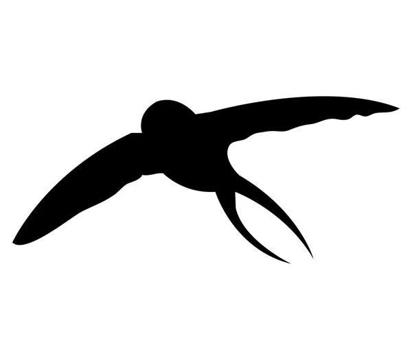 Swallow illustrated on a white background — Stock Photo, Image