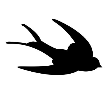siluet swallow beyaz zemin üzerine resimli