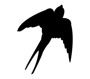 siluet swallow beyaz zemin üzerine resimli