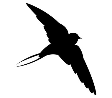 siluet swallow beyaz zemin üzerine resimli