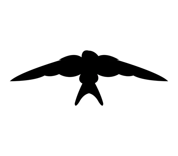 Illustrated silhouette swallow on a white background — Stock Photo, Image