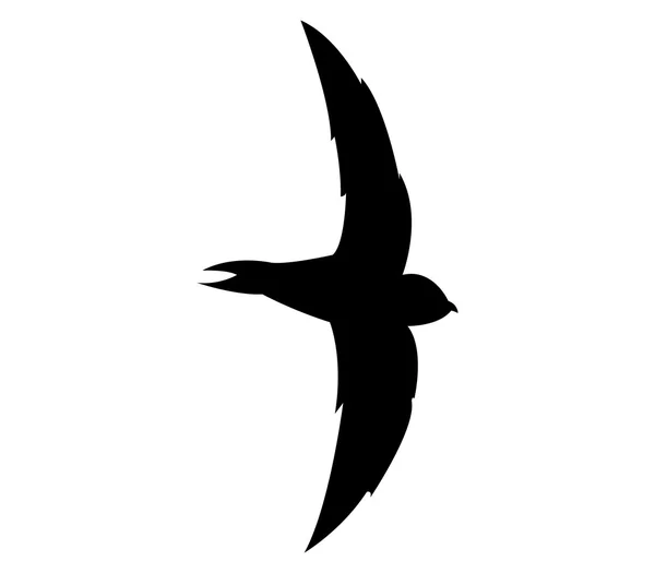Illustrerade silhouette swallow på vit bakgrund — Stockfoto