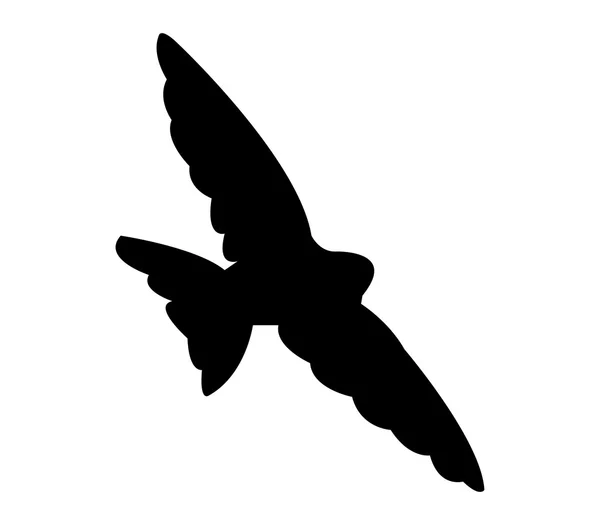 Illustrated silhouette swallow on a white background — Stock Photo, Image