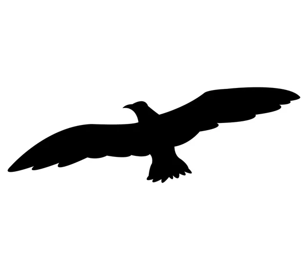 Illustrated silhouette swallow on a white background — Stock Photo, Image