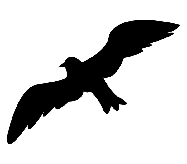 Seagull illustrated on a white background — Stock Photo, Image