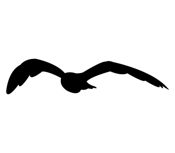 Чайка проілюстровано на білому фоні — стокове фото