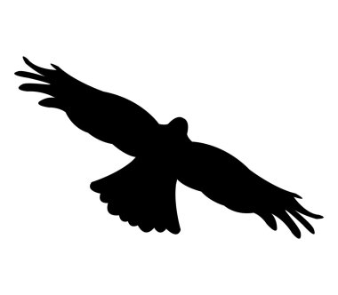 Beyaz bir arka plan üzerinde resimli kartal