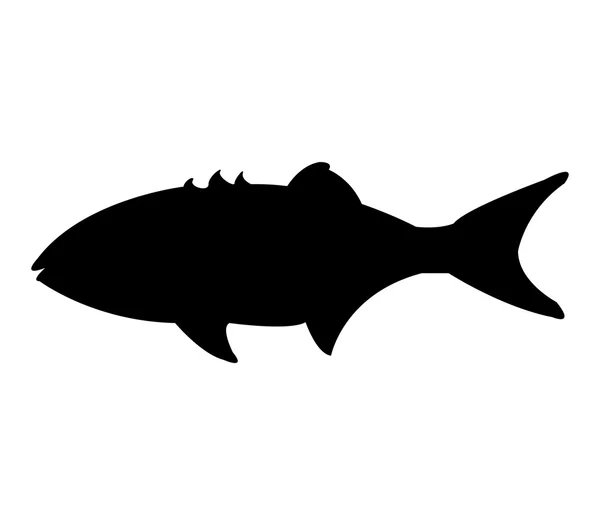 Pesce illustrato su sfondo bianco — Foto Stock