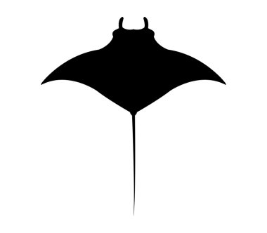 Beyaz bir arka plan üzerinde resimli manta