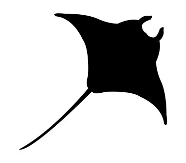 Beyaz bir arka plan üzerinde resimli manta