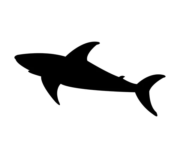 Shark shown on a white background — Stock Photo, Image