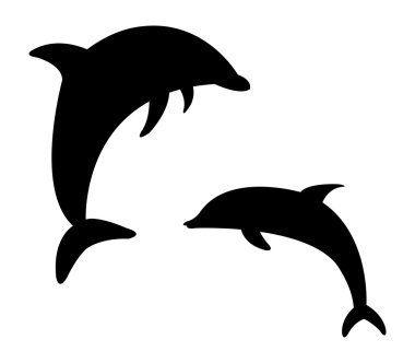 beyaz zemin üzerinde yunuslar