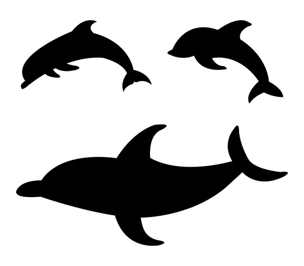 Delfines sobre fondo blanco — Foto de Stock