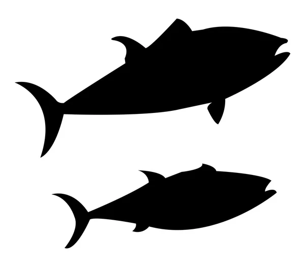 Fisk på vit bakgrund — Stockfoto