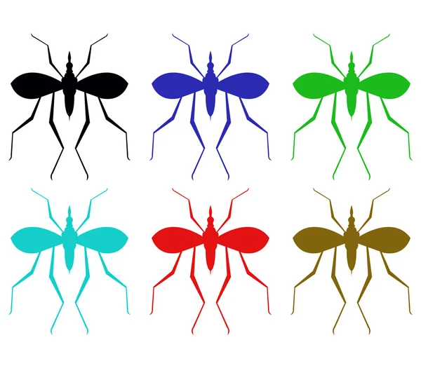 Mosquitoes on a white background — Stock Photo, Image