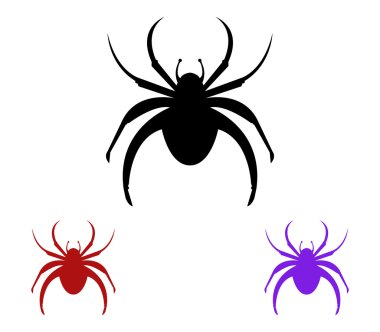 Beyaz arkaplanda örümcek