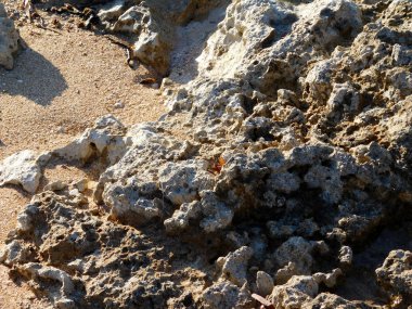 Taşlar ve kayalar denize