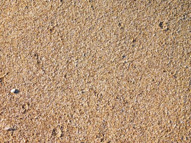 açık havada denizde kumlu doku