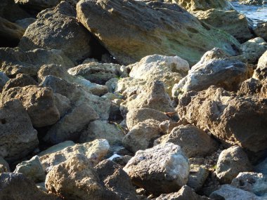 Taşlar ve açık havada bahçede kayalar