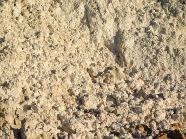 açık havada bahçede yer