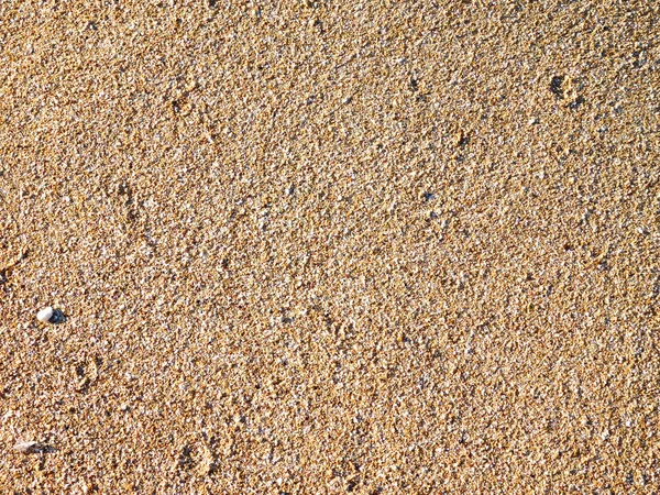 Sandy texture outdoors at sea — Stock Photo, Image