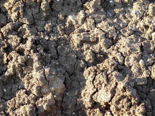 Buiten de grond in de tuin — Stockfoto