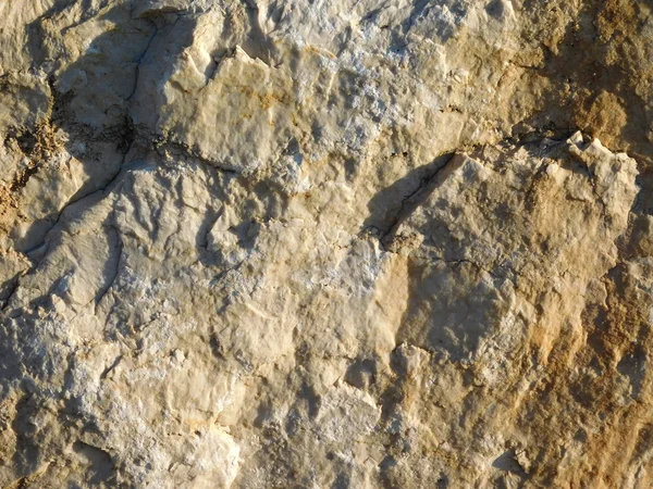 Textura de pedra jardim ao ar livre — Fotografia de Stock