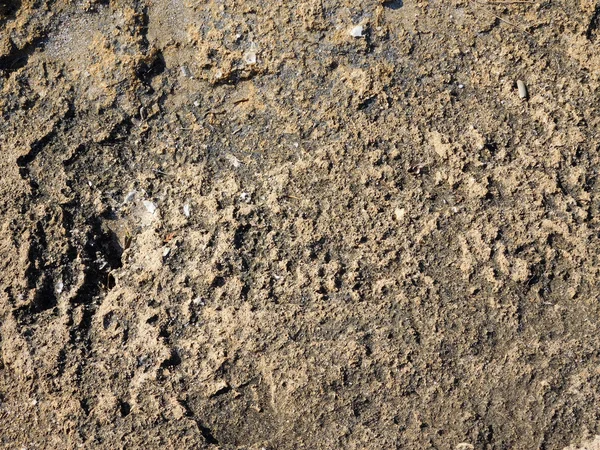 Texture of stone outdoor garden — Stock Photo, Image